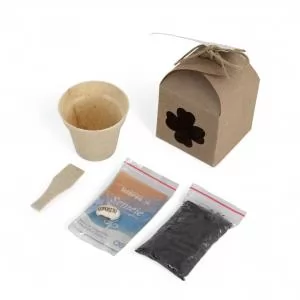 Kit Semente Mágica Personalizado | Dimensões (L x A x P): 5.6 x 8.6 x 5.6 | Peso = 45 g